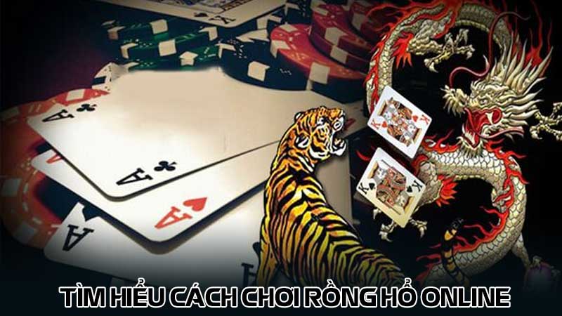 Tìm hiểu cách chơi Rồng hổ online